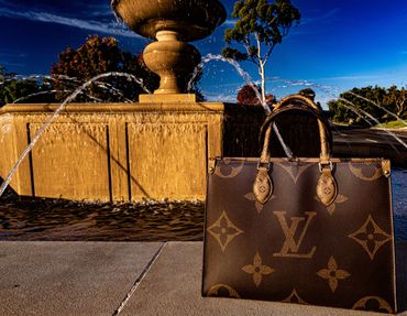 Louis Vuitton handbag at the public fountain in Malaga Cove, California