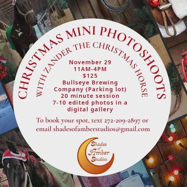 Saturday, 11/29 Zander the Christmas Horse will be in our back parking lot waiting for you to get yo