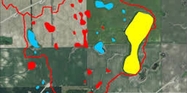 Wetland mitigation and monitoring plans