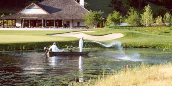 Lake herbicide and algaecide treatments