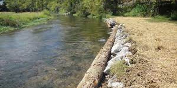 Aqua scaping and stream bank stabilization