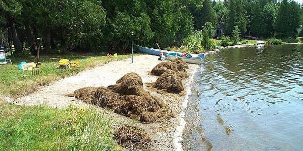 Mechanical harvesting and dredging