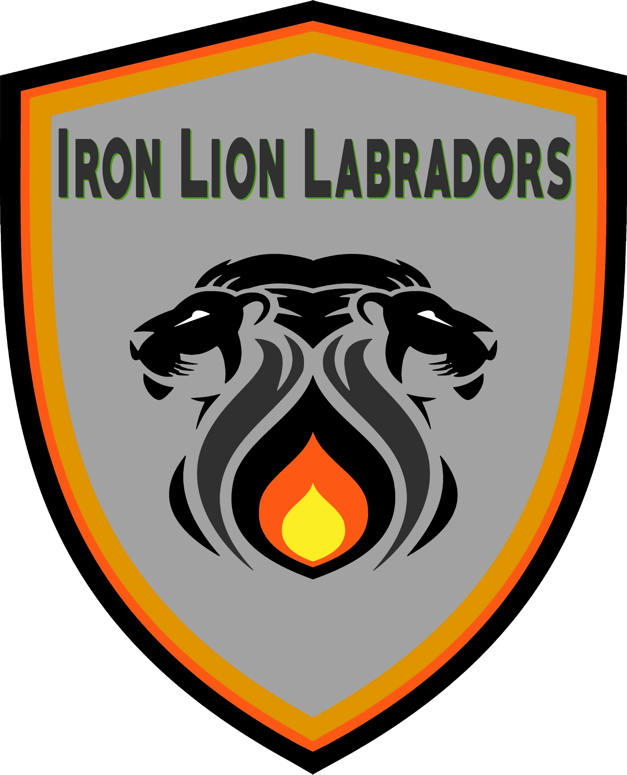 Iron Lion Labradors