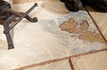 Natural Stone Pavers - Golden Fossil at Americas Stone