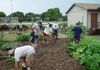 Kramer Elementary School Garden founded in 2001