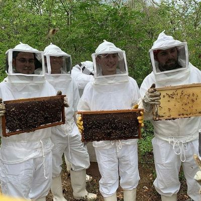Apiturismo Sinanche Tour de abejas Merida
