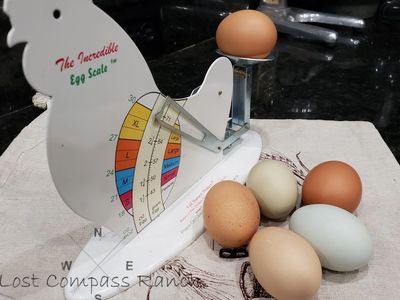 The Incredible Egg Scale