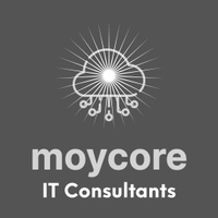 IT Consultants