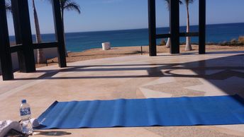 You and your group want to create a Yoga Retreat  but you need a Teacher That's Great!

Let's talk
