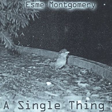 A Single Thing album art
