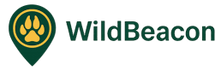 Wild Beacon