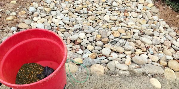 Red bucket with water and leaves next to a bed of rocks.