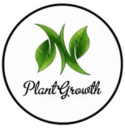 Plant Growth