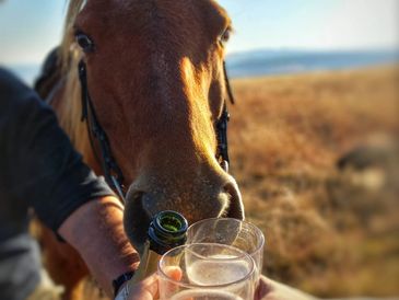 BBK Trails, Horse Riding, Highlands Meander.