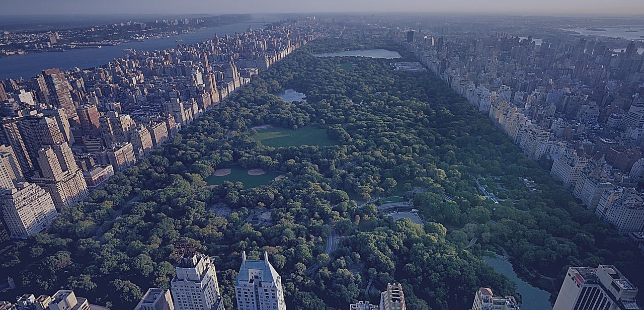 Reptile Enorme Qui Traumatise New York CENTRAL PARK FIVE (1/2)