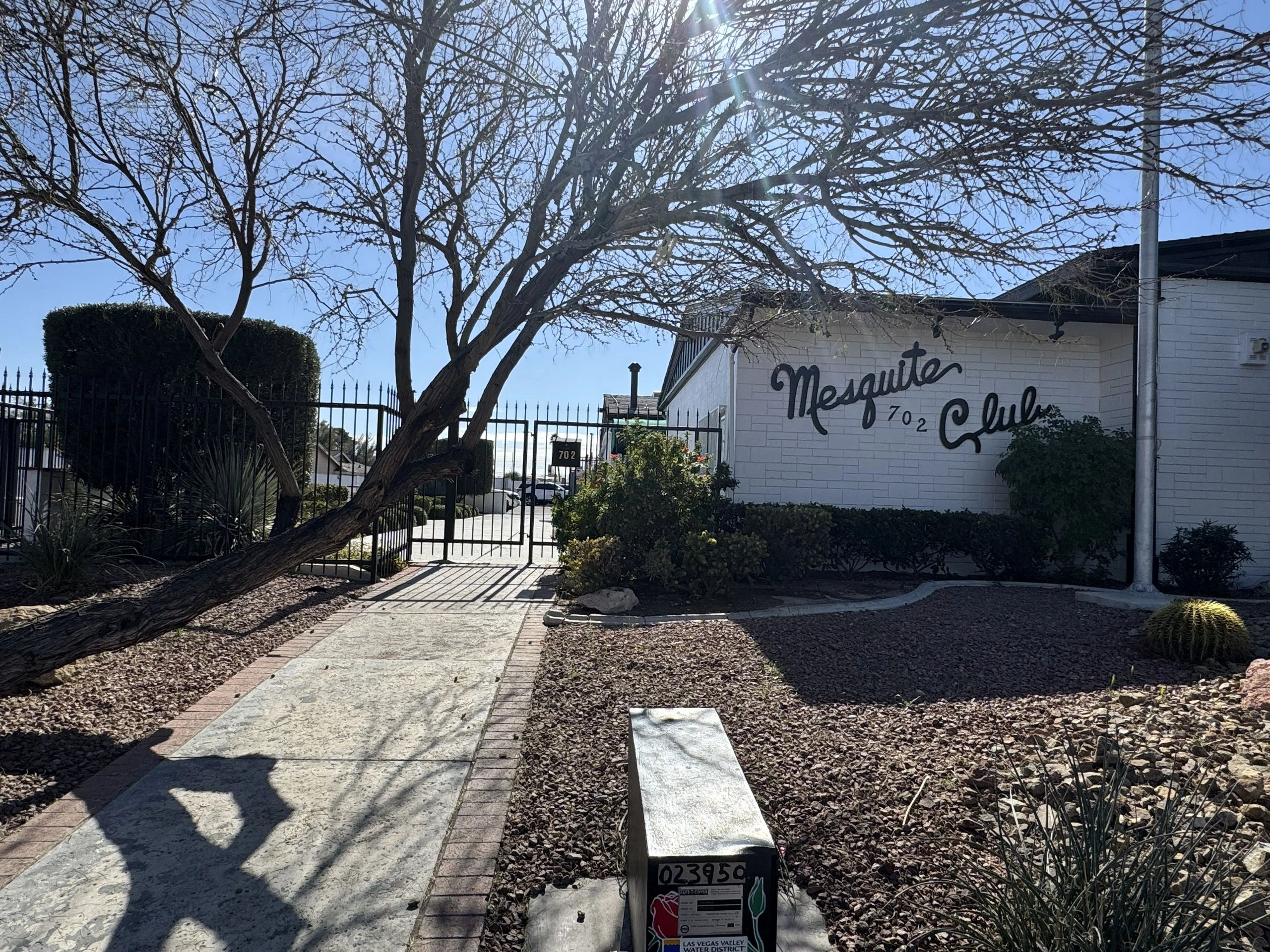 The Community Services Committee is the heart of the Mesquite Club's philanthropic efforts, connecti