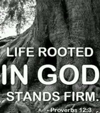Life rooted in God stands firm