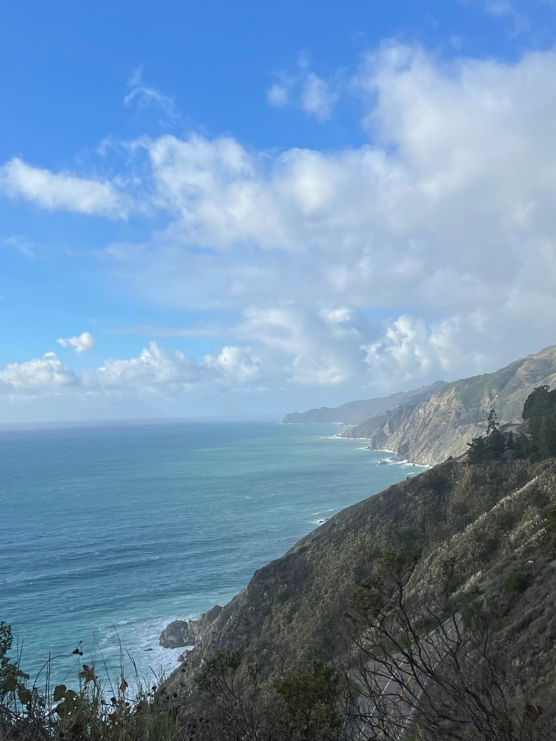 Alicia Hahn Big Sur Services, image size:1787x2382