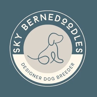 SKY Bernedoodles