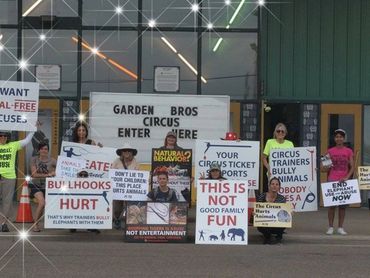 peaceful circus protest in Denver Colorado