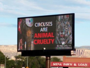 anti-circus billboard in Grand Junction Colorado