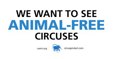 we want animal-free circuses