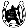Baja By Horse