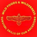 Wild Foods & Wilderness