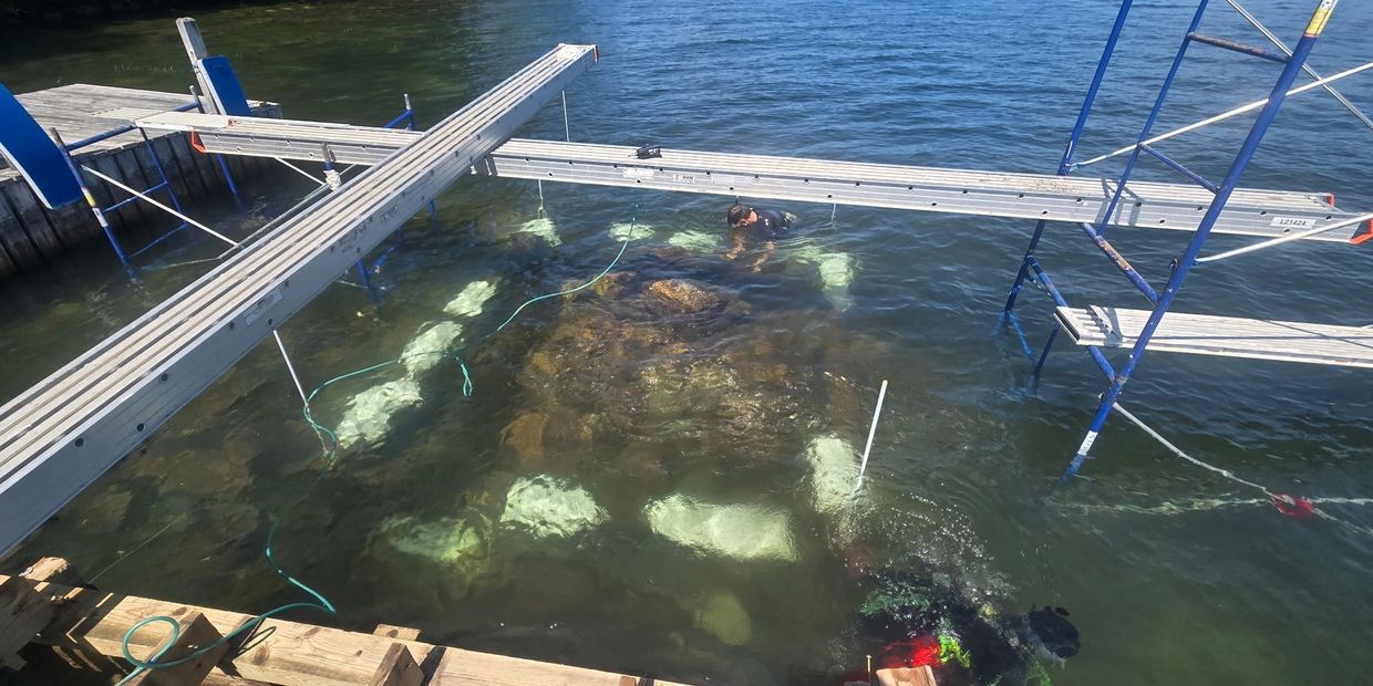 Scuba divers working underwater near a dock with metal scaffolding and rocks.