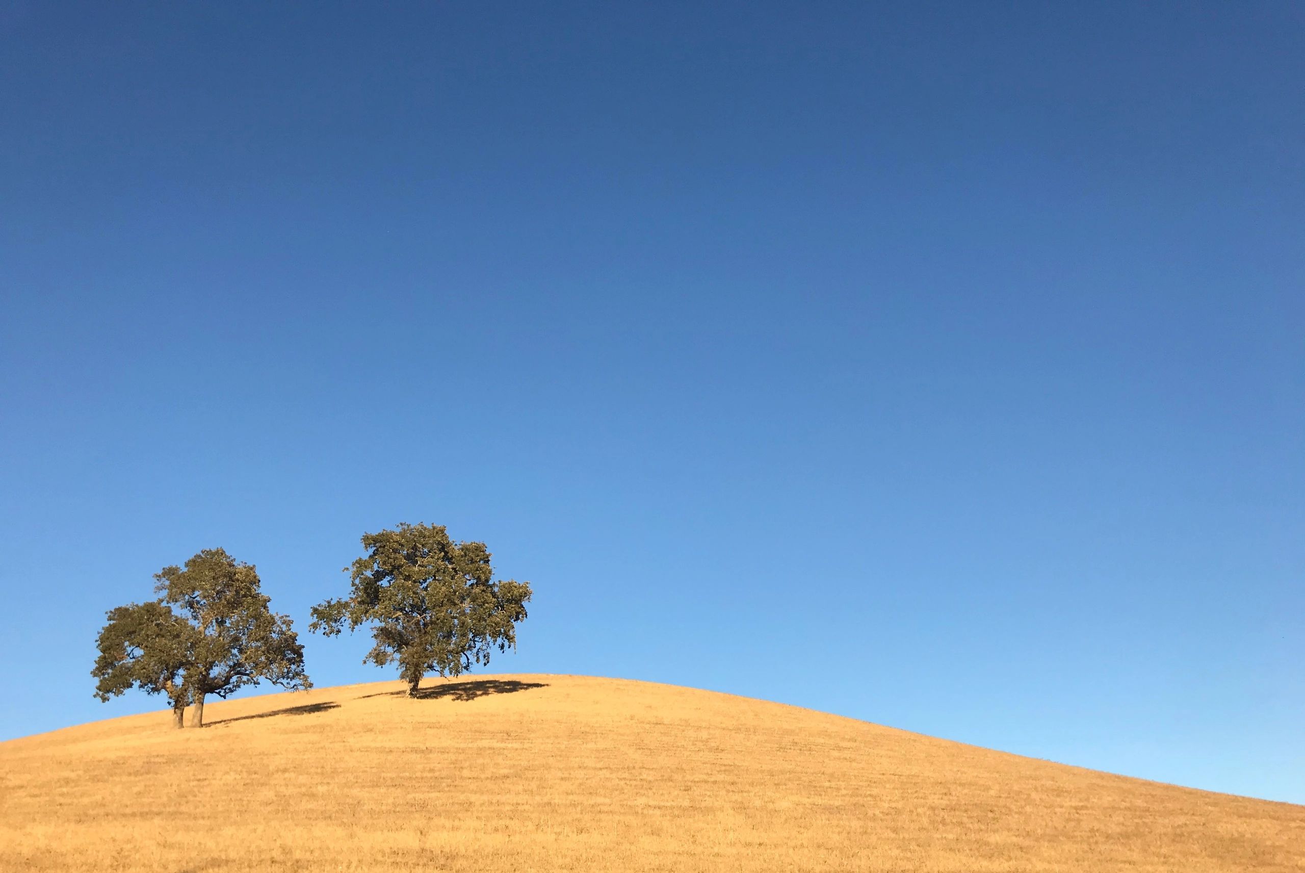 Flannery llc solano county (77) foto