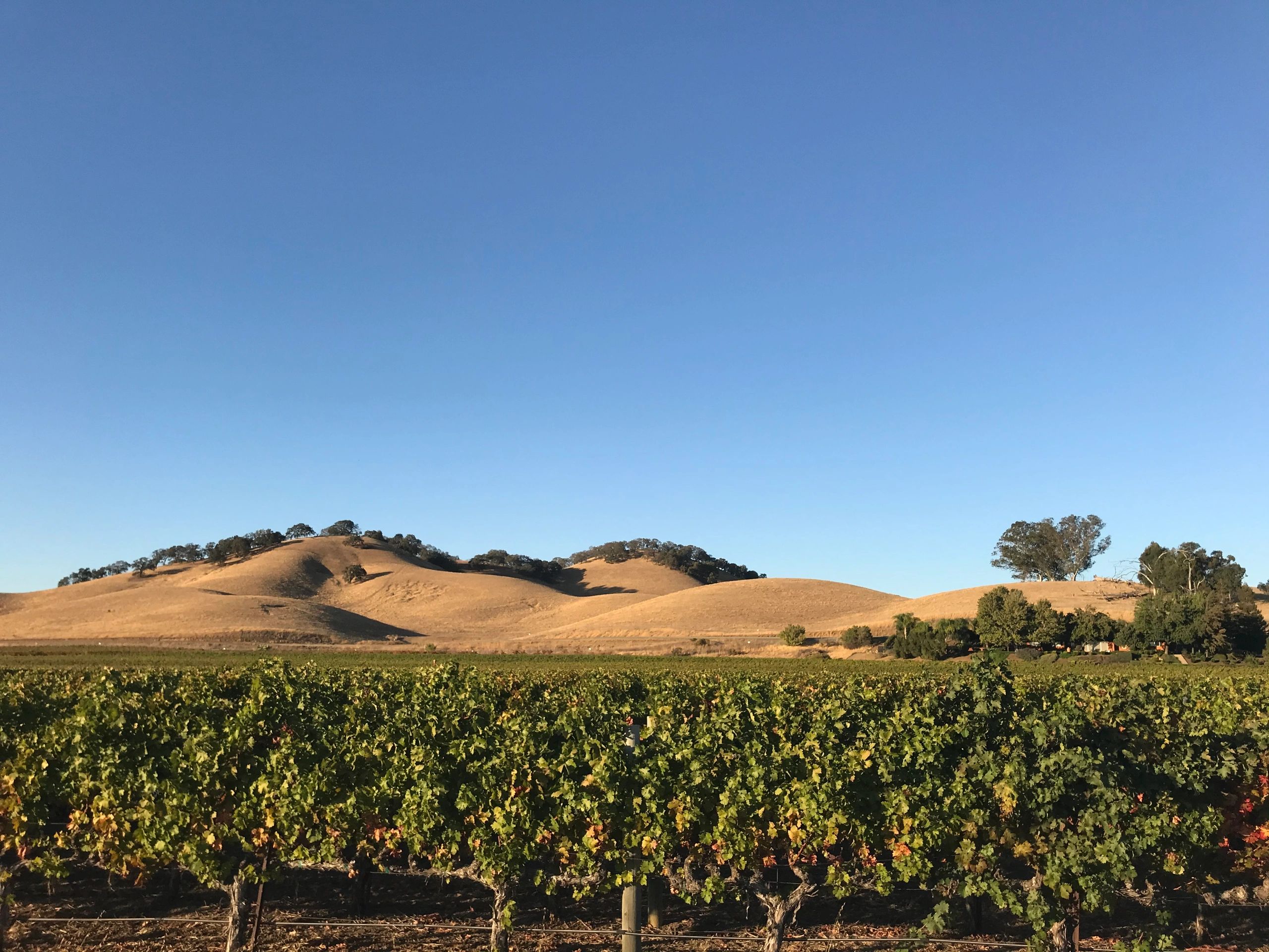 Orderly Growth - Solano Orderly Growth Committee