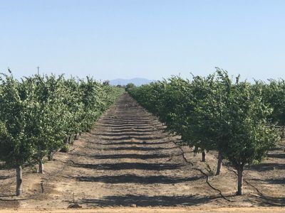 Solano's Local Farming