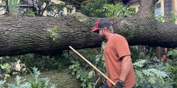 Man clearing fallen tree branches in a residential area.