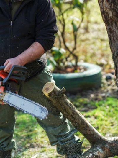 Person cutting a tree branch with a chainsaw outdoors.