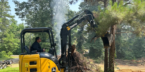 Land clearing, ridding of unwanted trees.