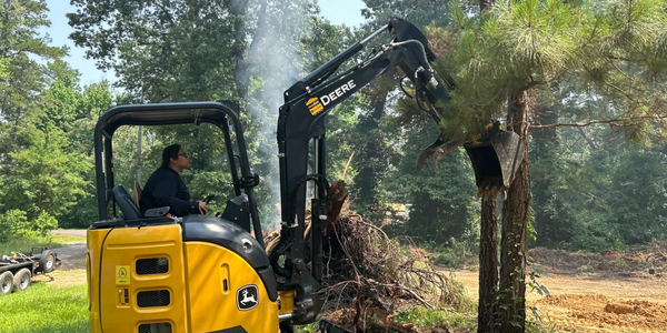 Land clearing, ridding of unwanted trees.