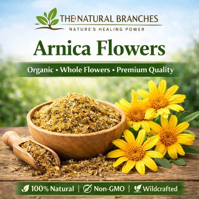 Arnica Flowers