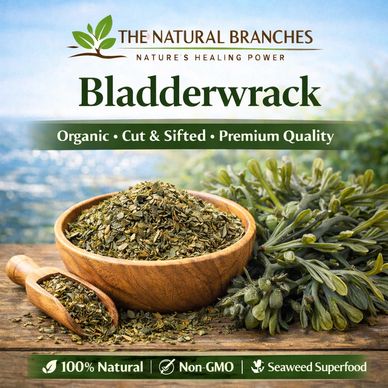 bladderwrack