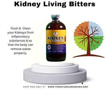 Kidney Formula Living Bitters
