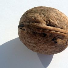 image6