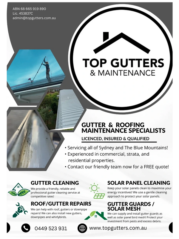 Brochure describing the gutter and roof services that Top Gutters and Maintenance provide