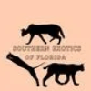 Southern Exotics