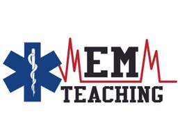 EM-Teaching LLC