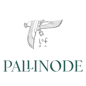 pallinode.com