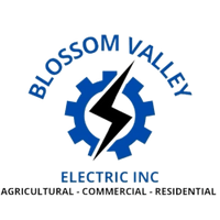 Blossom Valley Electric Inc.