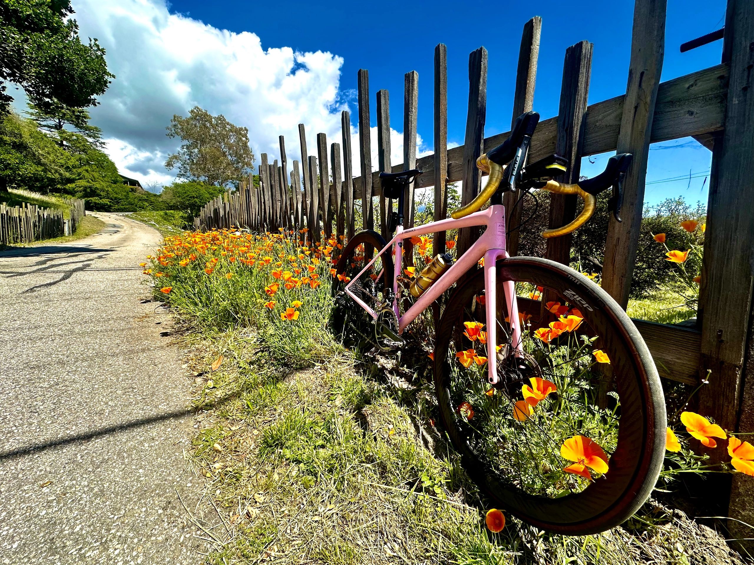 Savvy Bike - eBike shop in Campbell, CA