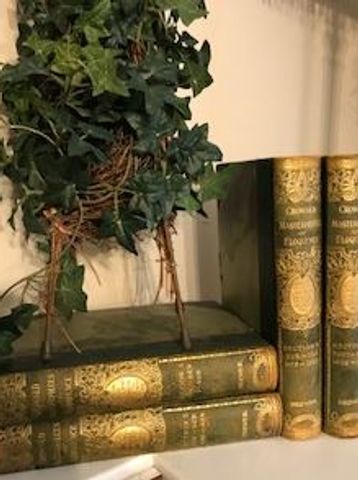 Vintage green books with gold detailing and a plant decoration.