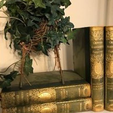 Vintage books with decorative spines and a small plant arrangement.