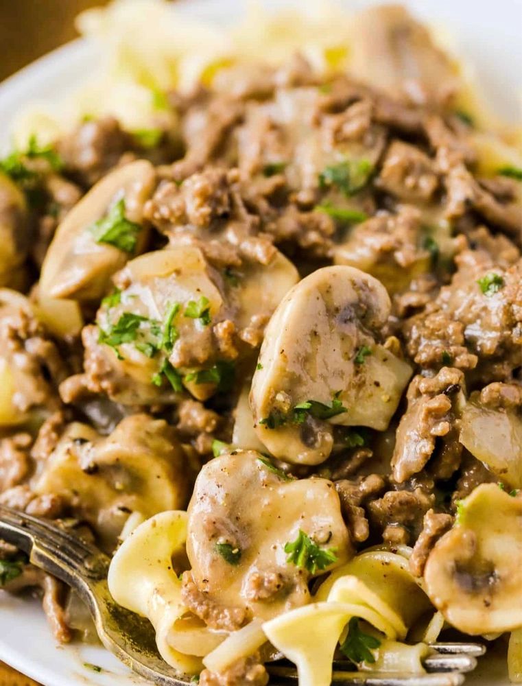 Ground Beef Stroganoff & Rotini