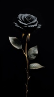 Castle of the Black Rose